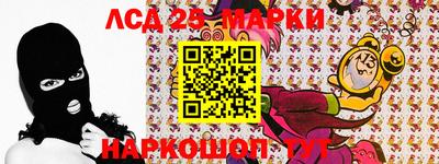 крисы Новокубанск
