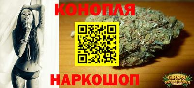 крисы Новокубанск
