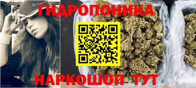 крисы Новокубанск