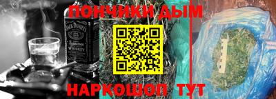 гашик Новодвинск