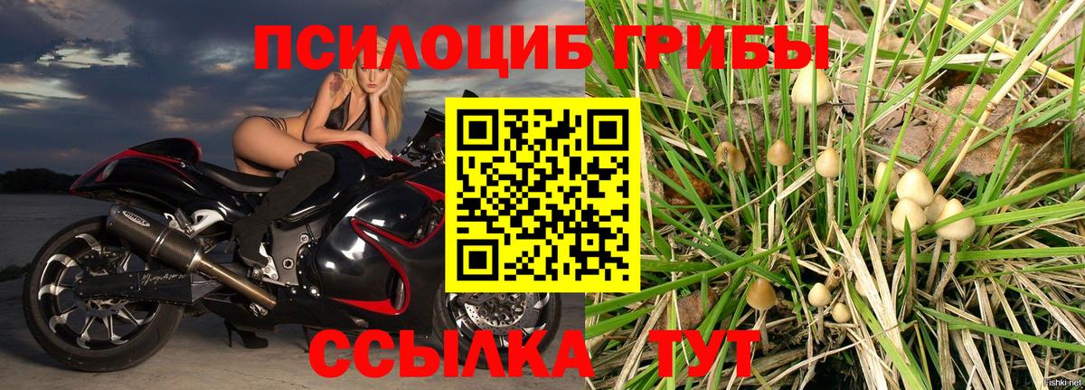 цена наркотик  Вход с VPN  Старая Купавна  Псилоцибиновые грибы Magic Shrooms 