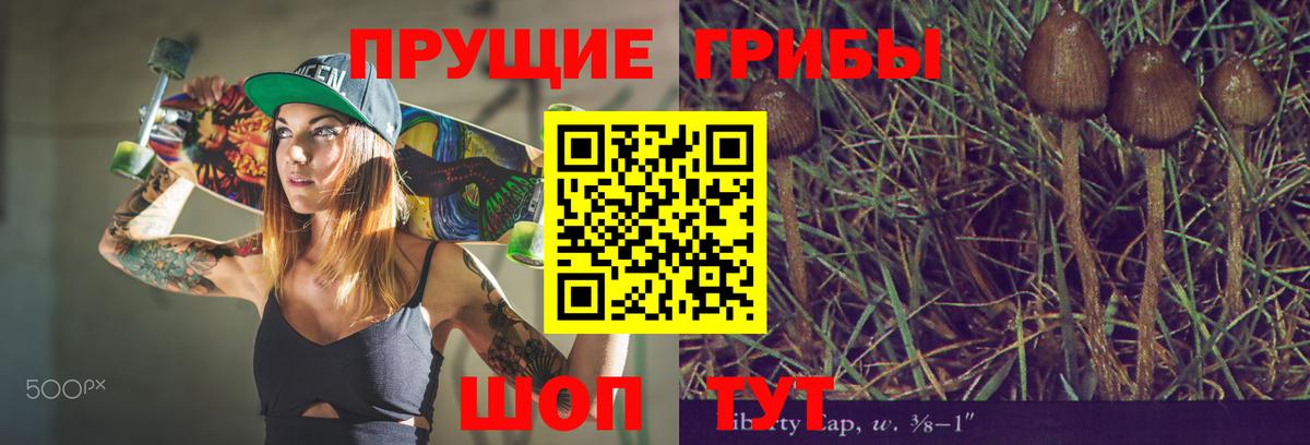 Псилоцибиновые грибы Magic Shrooms Старая Купавна